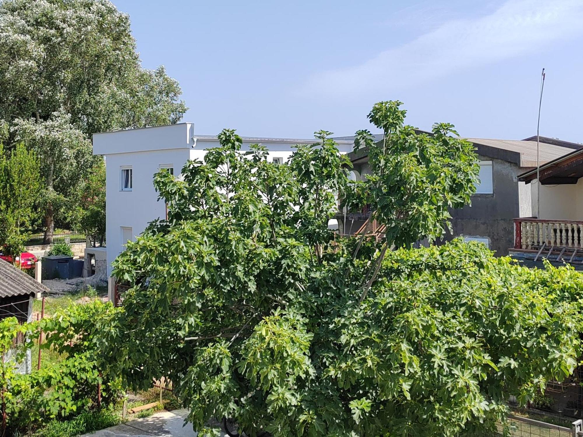 Vila Goga Ulcinj Exteriér fotografie